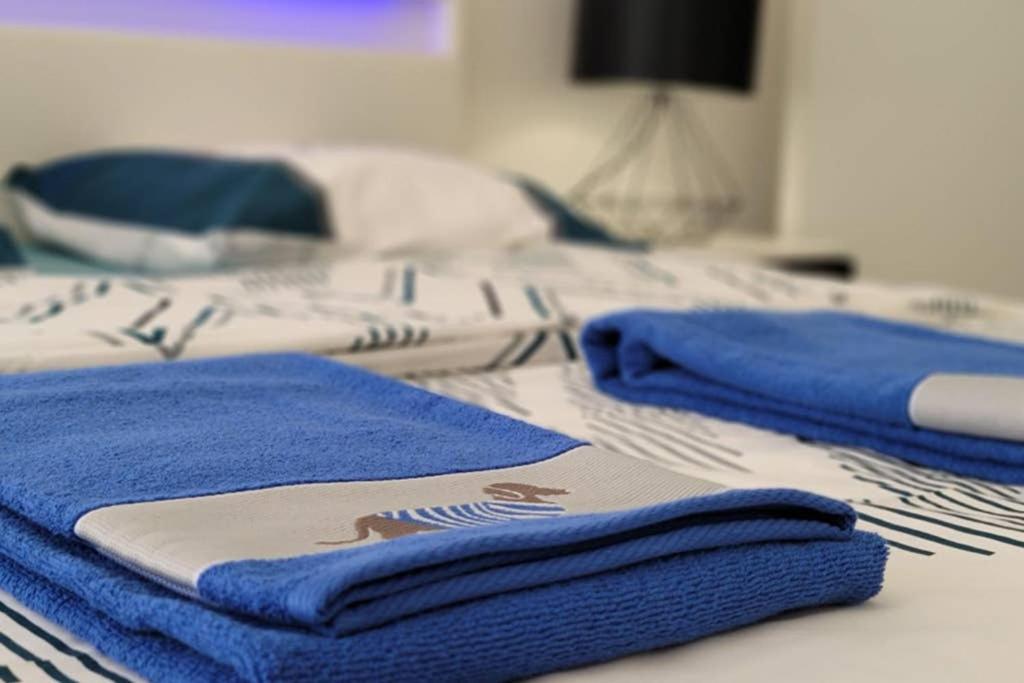 Le Lovelyhome Au Centre Avec Jacuzzi Et Sauna Proche Gare Et Parking Gratuit Apartment Colmar